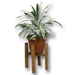 SZN Wood - SZN Wood Palme Ahşap Saksı Standı Ladin-Göknar Kendin Yap 36 x 39 x 36 cm SZN51-Teak - - - -